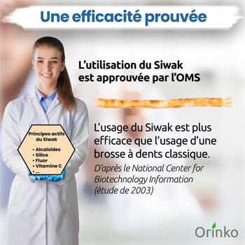 Bâtons de Siwak (Miswak) x12 - Brosse à dents 100% naturelle 2