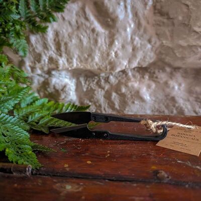 Mini House Plant Shears