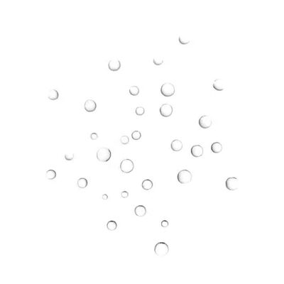 Salbei-Toner – lindert Ekzeme und Psoriasis – Salbeiblütenwasser x10