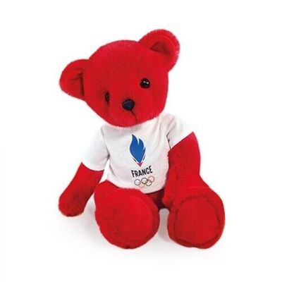 Red teddy bear with French team T-shirt - 30 cm