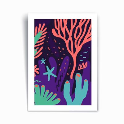 Coraux marins - Tirage d'art