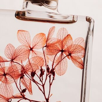 L'Herbarium de Théophile - Hortensia Peegee rouge tendre - Fleur immergée 2