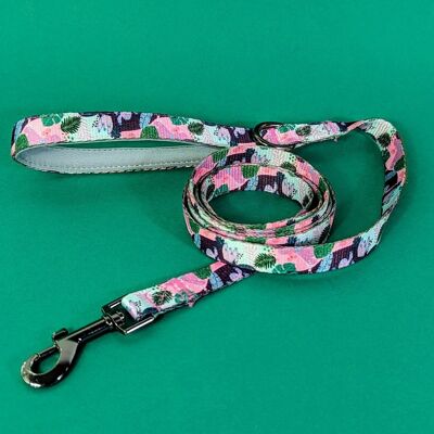 Dog leash 180cm Cactus