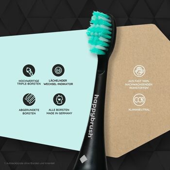 Têtes de brosse Eco VIBE 3 | menthe noire 2