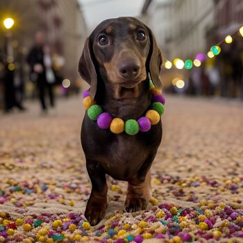 Collier pour chien Pom Pom personnalisé - Mardi Gras 2
