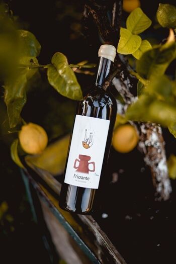 Vin Blanc Bio Floréal Sauvignon Gris pétillant 2023 "Frizzante" 1