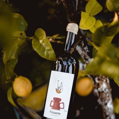 Vin Blanc Bio Floréal Sauvignon Gris pétillant 2023 "Frizzante"