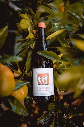 Vin Orange Bio 2022 Sémillon Sauvignon Gris "Orange" avec Cire 1
