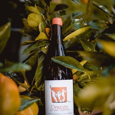 Bio Orange Wine 2022 Sémillon Sauvignon Gris „Orange“ mit Wachs