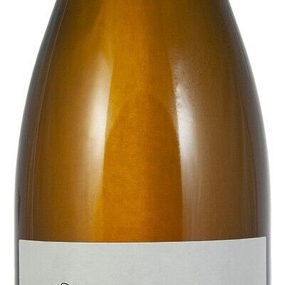 Organic Orange Wine 2022 Sémillon Sauvignon Gris “Orange”