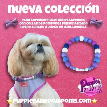 COLLIER POUR CHIEN PERSONNALISÉ AVEC POMPONS - Bleu Lavande 11