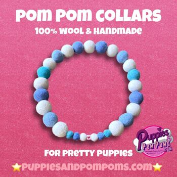 COLLIER POUR CHIEN PERSONNALISÉ AVEC POMPONS - Bleu Bébé / Bleu Cornish 7