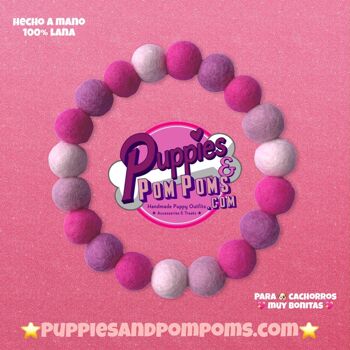 COLLIER POUR CHIEN PERSONNALISÉ AVEC POMPONS - Hot Pink Mix 5