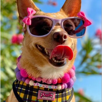 COLLIER POUR CHIEN PERSONNALISÉ AVEC POMPONS - Rose 9