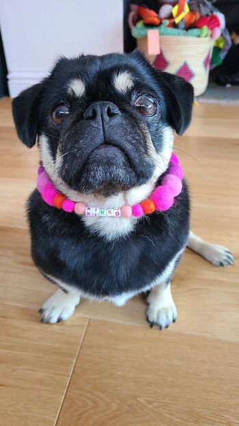 COLLIER POUR CHIEN PERSONNALISÉ AVEC POMPONS - Rose 17