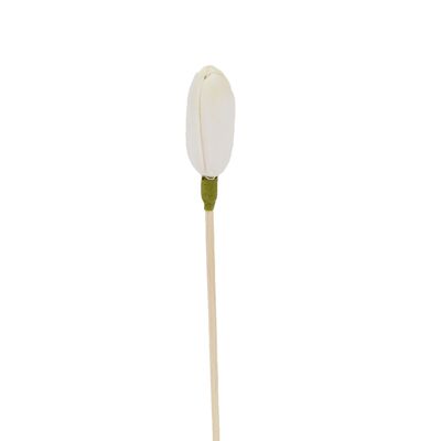 Fleur de saule japonais - Bâtonnet diffuseur en  rotin