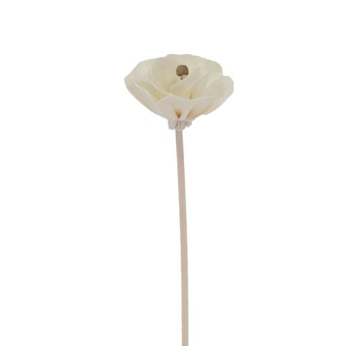 Fleur Pivoine de chine - Bâtonnet diffuseur en rotin