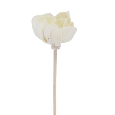 Fleur d'Andromède campanulée - Bâtonnet diffuseur en rotin