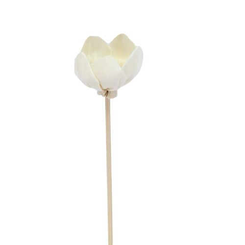 Fleur de Narcisse - Bâtonnet diffuseur en rotin