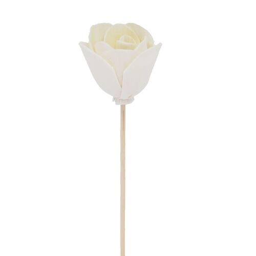 Tulipe à fleur de pivoine - bâtonnet diffuseur en rotin fleur
