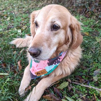 Bandana pour chien Cactus 2