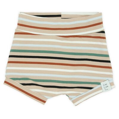 Short | Stripes | Multicolored