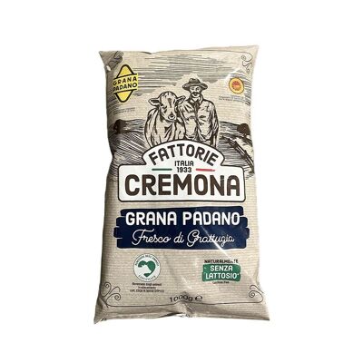 Queso curado seco rallado Grana Padano DOP (1 kg)