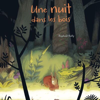 Libro per bambini - Una notte nel bosco