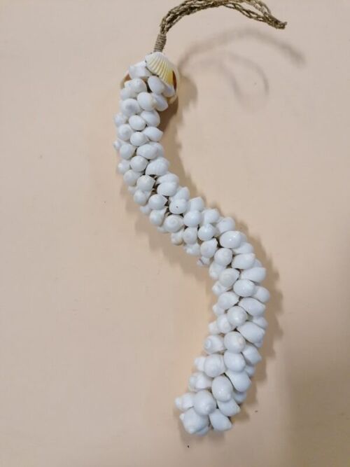 Shell decoration shell pendant Hanger shells