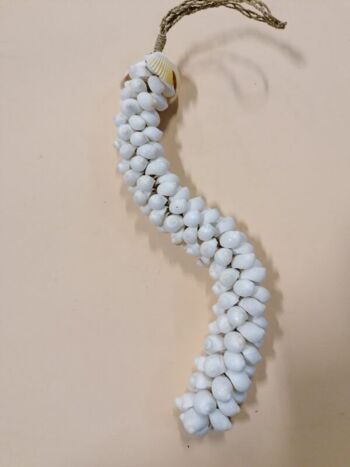 Coquille décoration coquillage pendentif coquillages de suspension