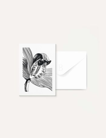 Carte Postale - L'éffleurée 1 A6
