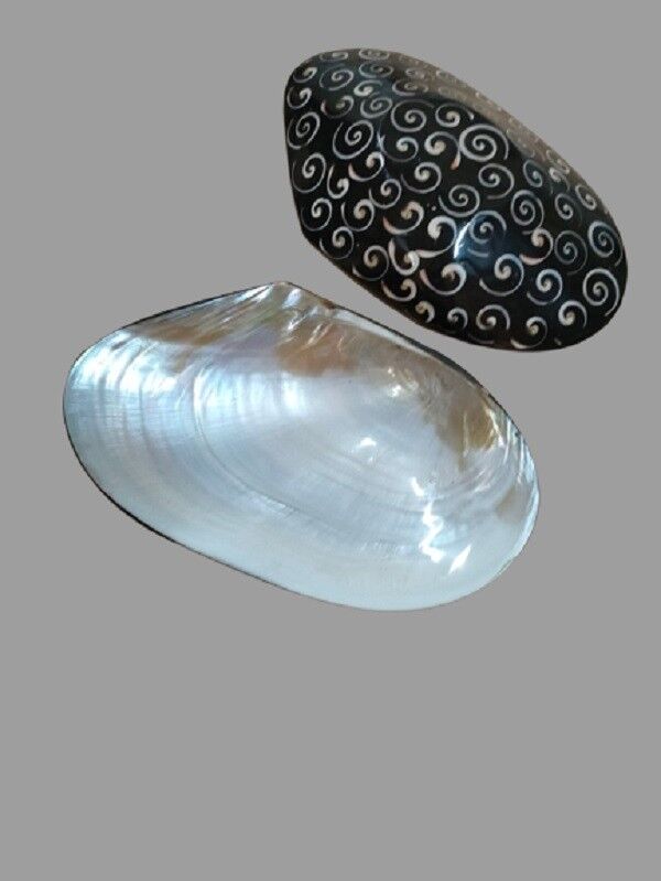 Vassoio piatto a mezza conchiglia