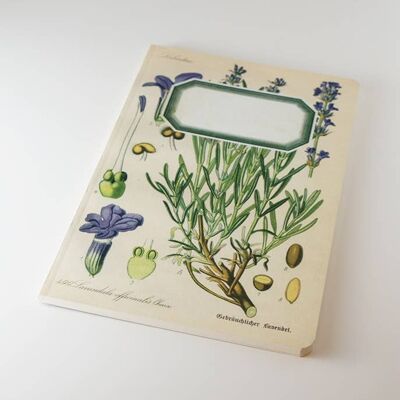 Cuaderno botánico - Lavanda - WAN18412