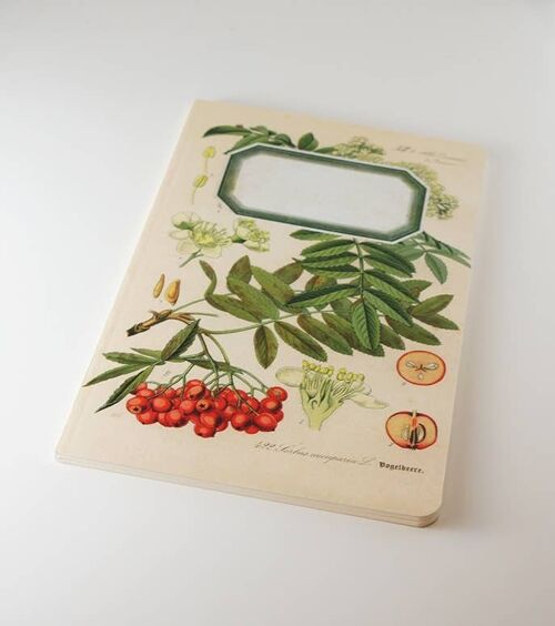 Botanical Notebook - Rowan Tree - WAN18415