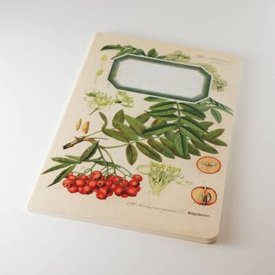 Quaderno botanico - Albero di sorbo - WAN18415