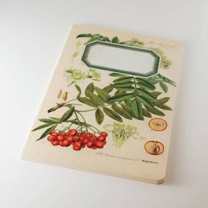 Carnet Botanique - Rowan Tree - WAN18415