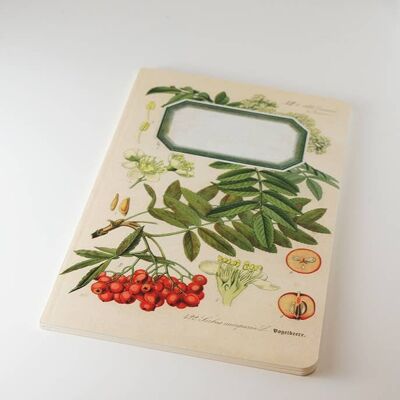 Botanisches Notizbuch - Rowan Tree - WAN18415
