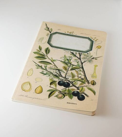 Botanical Notebook - Blackthorn - Sloe - WAN18414