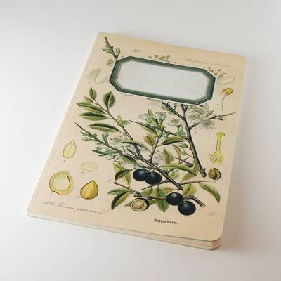 Botanical Notebook - Blackthorn - Sloe - WAN18414