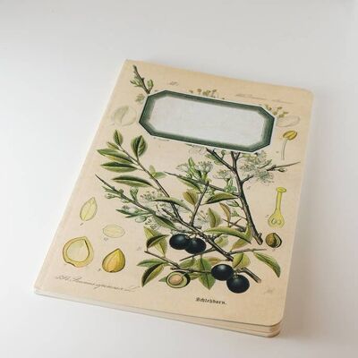 Botanical Notebook - Blackthorn - Sloe - WAN18414