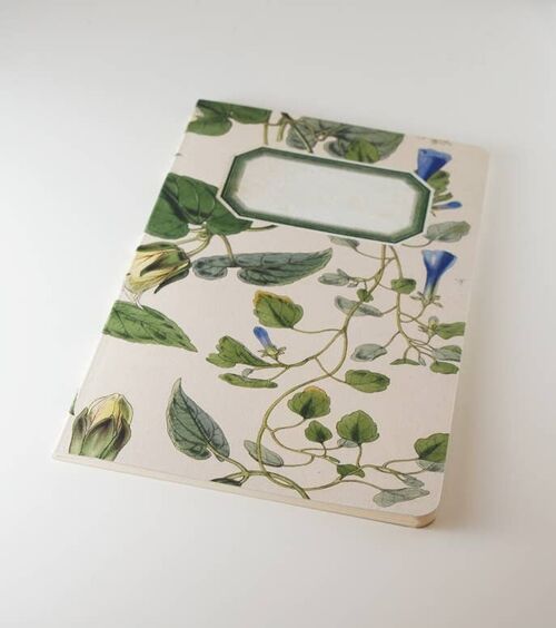 Botanical Notebook - Blue Ivy - WAN18420