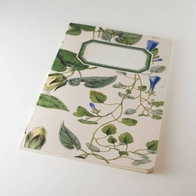 Botanisches Notizbuch - Blauer Efeu - WAN18420