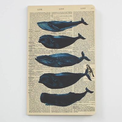 Quaderno delle balene - Blocco note delle balene - WAN20402