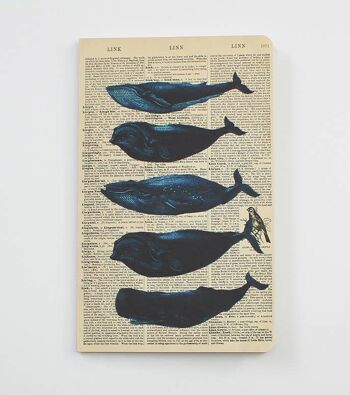 Carnet de baleines - Bloc-notes de baleines - WAN20402 1