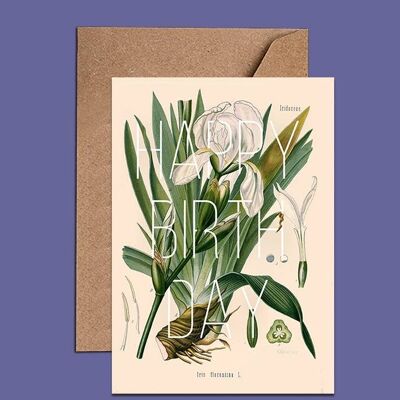 Irıs Flower Birthday Card – WAC18138