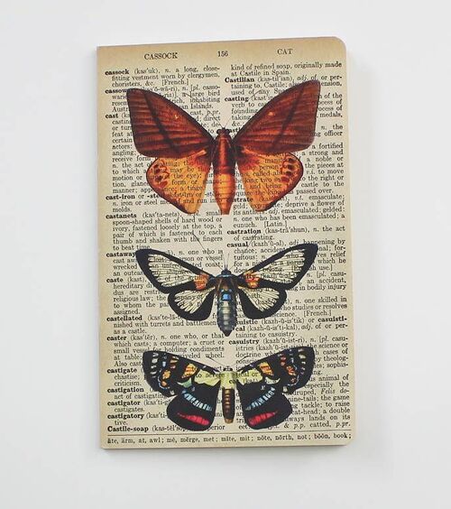 Butterfly Notebook - Butterflies notepad - WAN20401