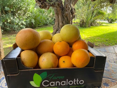 Cassetta mista agrumi Bio 8 arance, mandarini e pompelmi