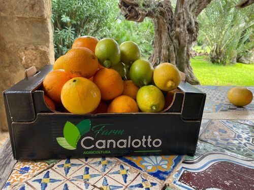 Cassetta mista agrumi Bio 9 arance, limoni e mandarini