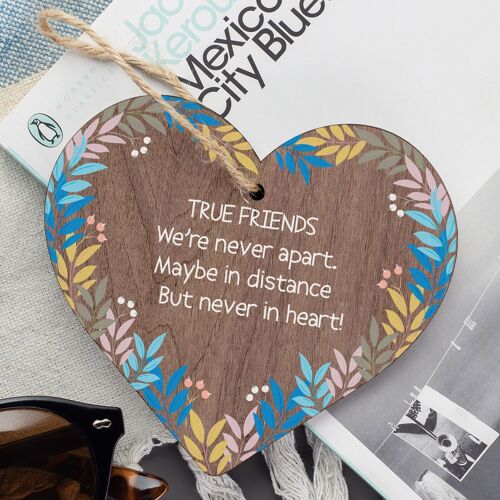 True Friends Never Apart Cute Wooden Hanging Plaque Gift Best Friends Love Sign