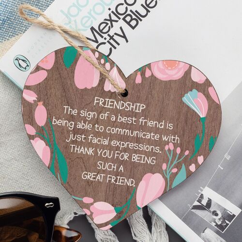 Friendship Best Friends Face THANK YOU Friend Plaque Wooden Hanging Sign Gift